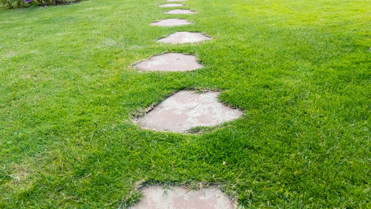 Green grass with stepping stones