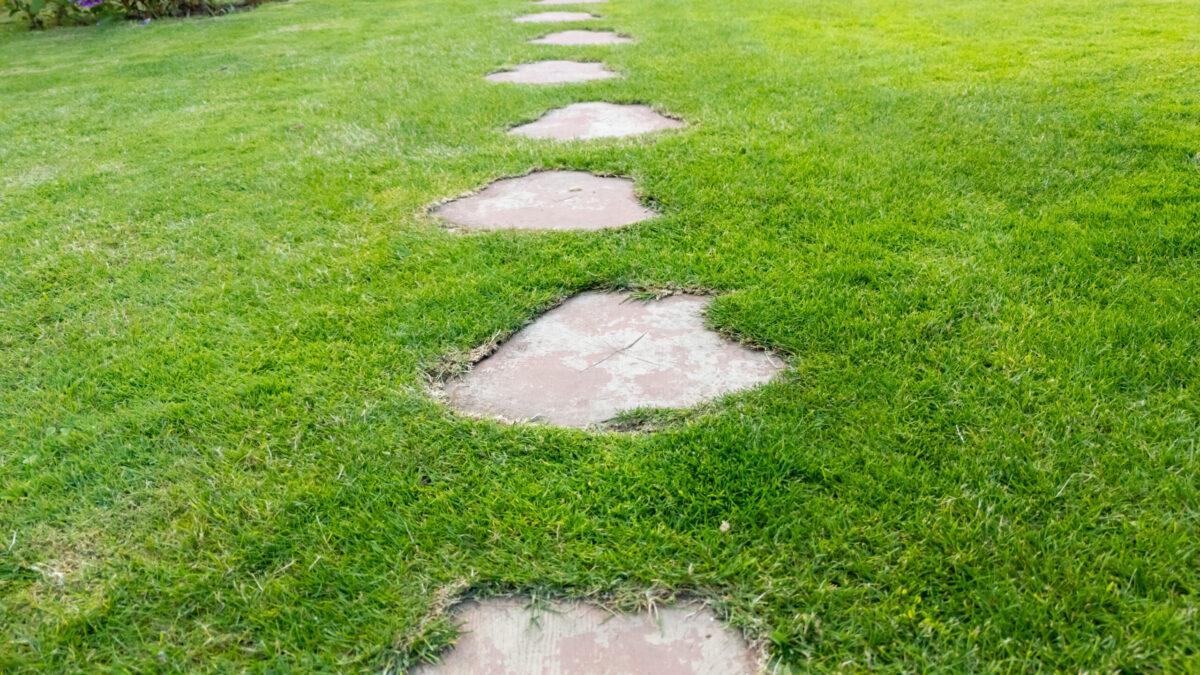Green grass with stepping stones